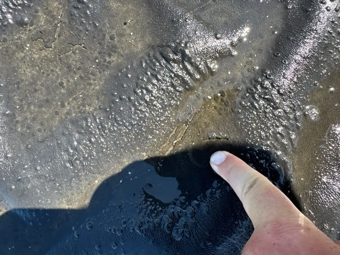 Flat Roof Repair New Augusta: Leak Detection and Fix